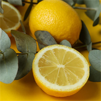 Try These Lemon Eucalyptus Essential Oil Blends for a Natural Oasis