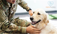 Dogtopia of Summerville Celebrates Fall While Raising Funds for a Third Service Dog for a Veteran
