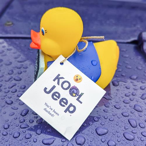 Rubber Duck Waterproof Tag