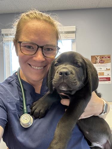 Gallery Image IMG_3096.jpeg