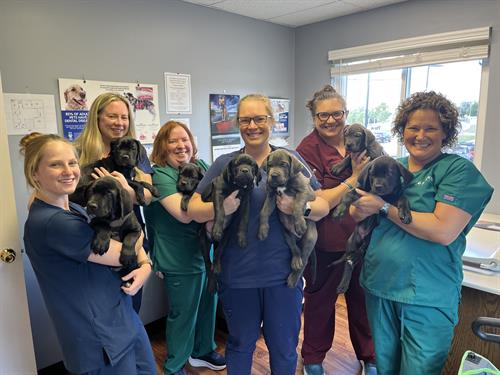 Gallery Image IMG_7892.jpeg