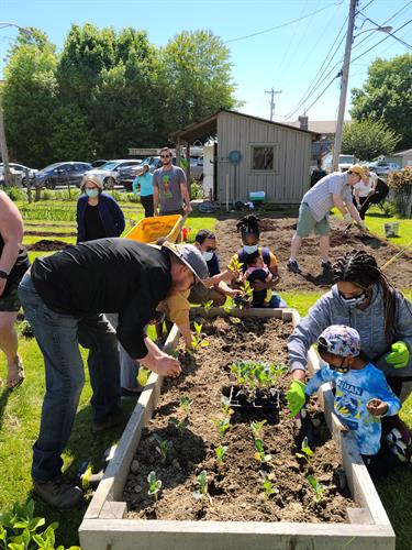 Volunteering to plant and harvest vegetables at the Coraopolis CDC Garden