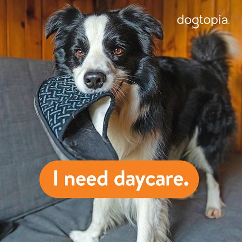 I need daycare