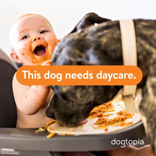 Spaghetti needs day care