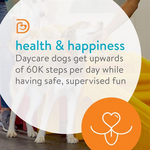 health and happiness