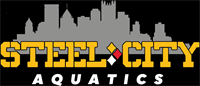 Lifeguard & CPR/AED Certification Class with Steel City Aquatics