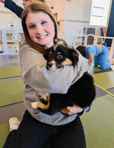 Gallery Image pittsburgh-dog-trainer_copy_2.jpg