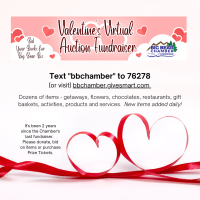 Valentine's Virtual Auction Fundraiser