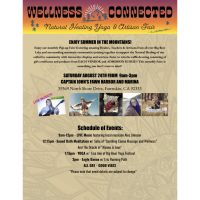 Wellness Connected Natural Healing Yoga and Artisan Fair