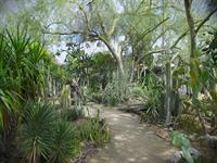 Big Bear Valley Historical Society Field Trip - LaQuinta and Palm Springs