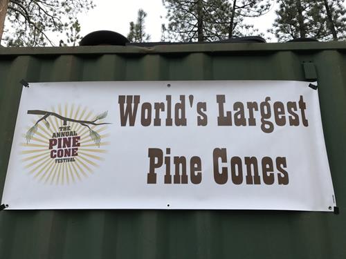 Bring cones to enter by Noon!