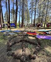 Wellness Connected Festival Grand Finale
