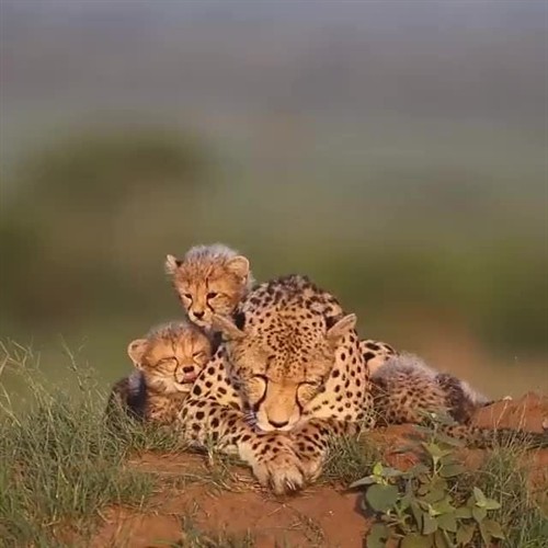 Kruger National Park