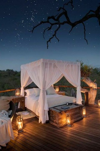 Safari Honeymoon 