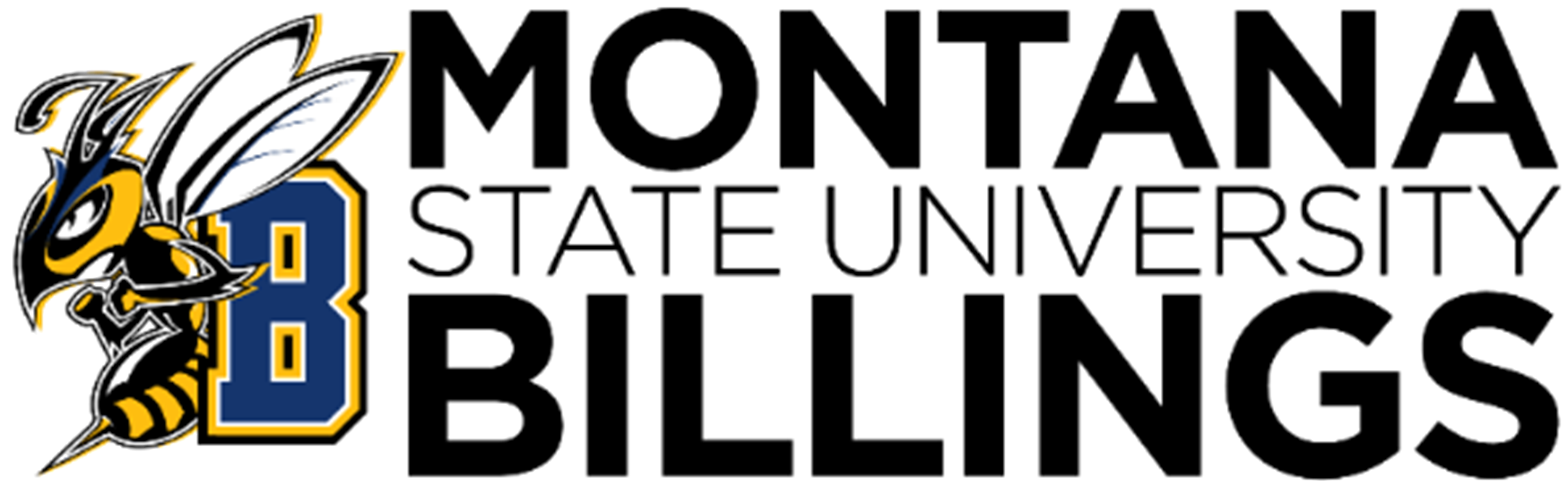 MSU Billings - Assistant Professor of Political Science - Job Description -  Billings Chamber of Commerce