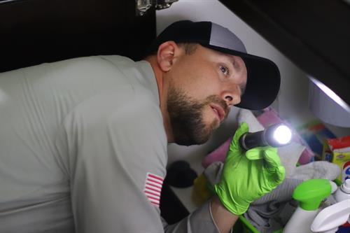 Gallery Image Inspection_2.JPG