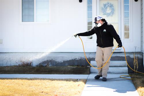 Gallery Image Nick_spraying.jpg