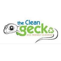 Clean Gecko (The)
