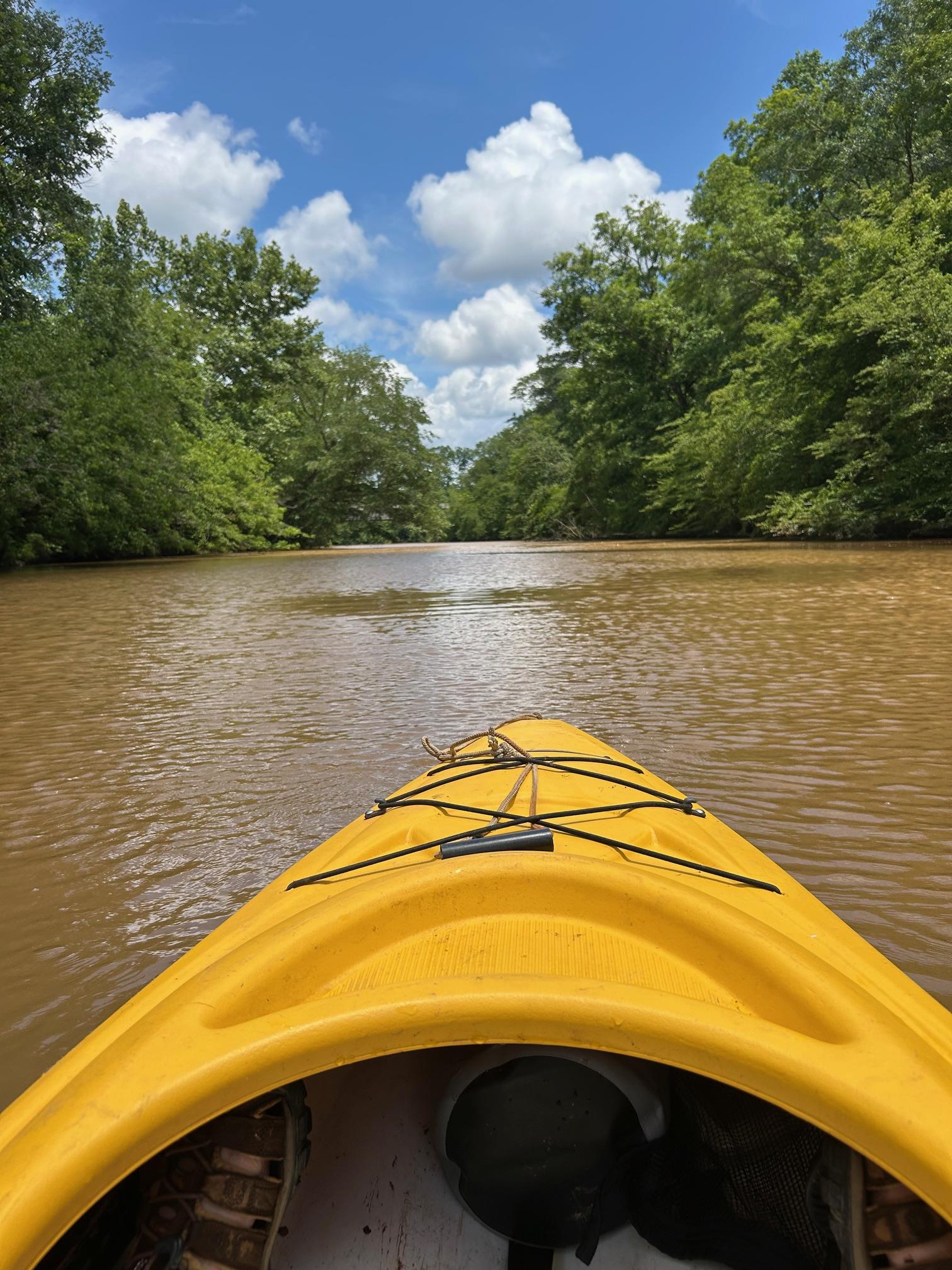 Image for Paddling Fun for the Entire Family.