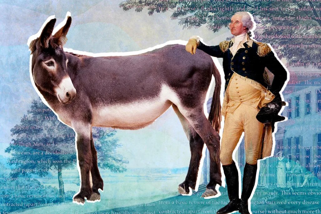 Image for The 44th annual Mule Day
