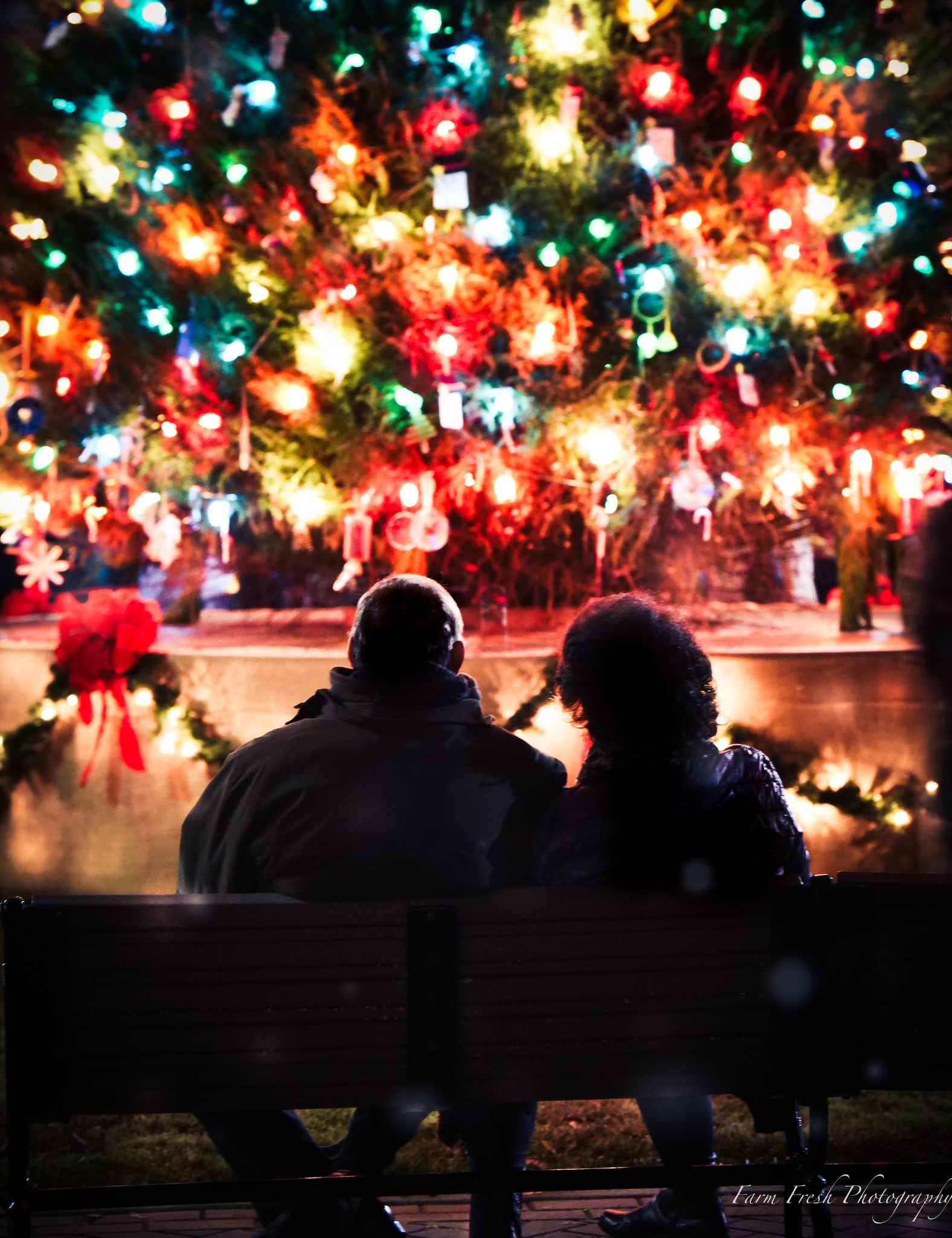 Image for Winter Charm and Holiday Lights in Washington, Georgia