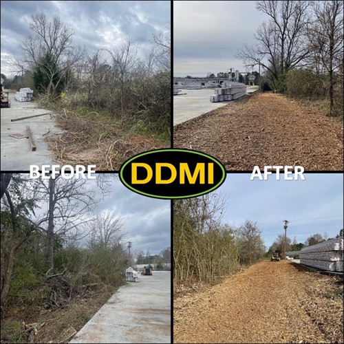 Gallery Image Cleanup_BEFORE-AFTER_02292024.jpg