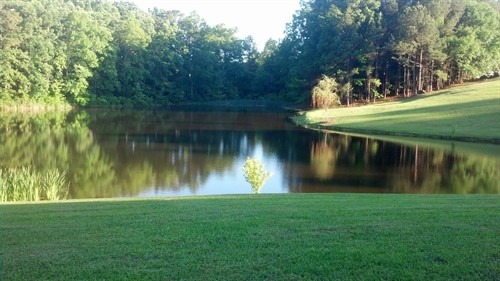 Gallery Image IMG_20130524_191724_060.jpg