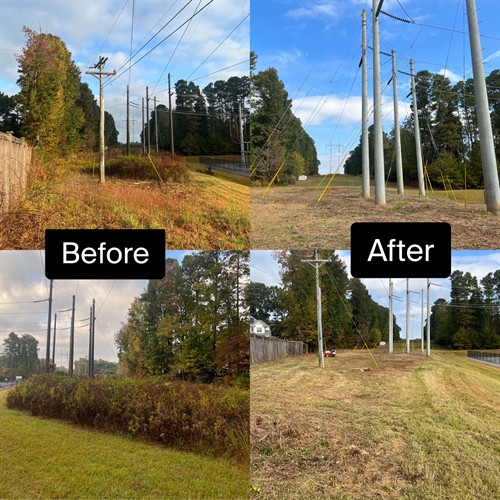 Gallery Image Milton_Cleanup_Before_and_AFter.jpeg