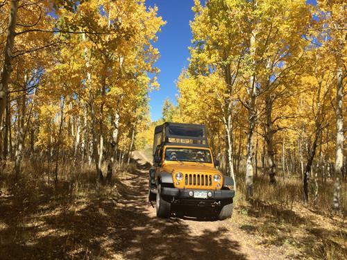 Fall colors in Cripple Creek on the Gold Belt Tour.