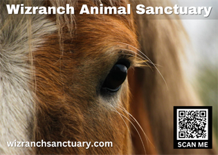 Wizranch Animal Sanctuary and Rescue