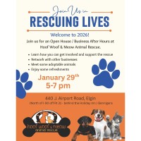 Multi-Chamber After Hours: Hoof Woof & Meow