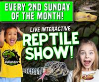 Interactive Reptile Experience at Jurassic Gardens!