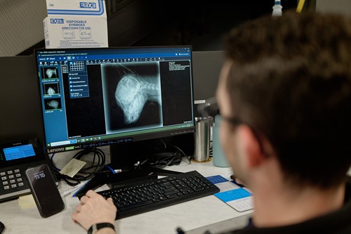 Gallery Image Thrive-TPHS-2024-Candids_04638_(1).jpg