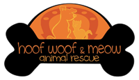 Hoof Woof & Meow Donation Drive