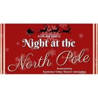 Night at the North Pole