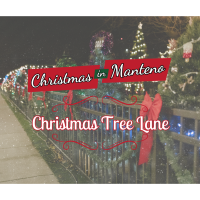 Christmas Tree Lane: Purchase your tree-MEMBERS ONLY!