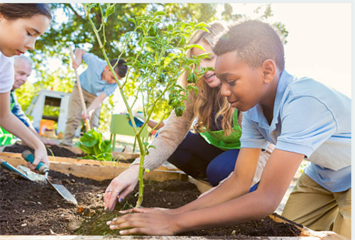 Gallery Image young_students_planting_a_tree.png