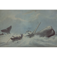 Herman Melville: Beyond The Whale