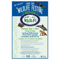 Cape Cod Wildlife Festival