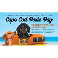 Cape Cod Doxie Day