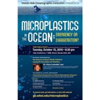 Microplastics In The Ocean: Emergency or Exaggeration