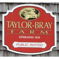 Taylor-Bray Farm Holiday Festival
