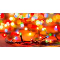 “Light of the World” Christmas Bus Ride