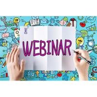 Webinar: Options for Businesses During a Downturn
