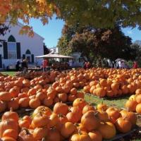 Pumpkin Patch at the West Yarmouth Congregational church