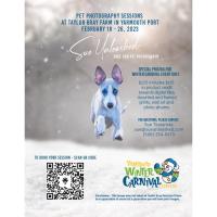 Yarmouth Winter Carnival: Pet Photography Sessions