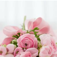The Garden Club of Yarmouth February meeting