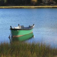 A Yellow Tide on Cape Cod: Nitrogen in our Waters