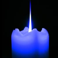 Candlelight Vigil for K-9 Officer Sean Gannon