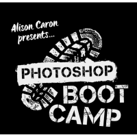 Photoshop Boot Camp